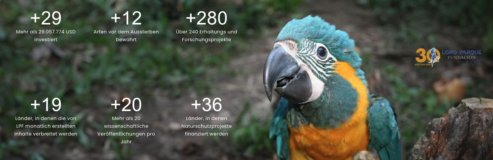 Daten der Loro Parque Fundación